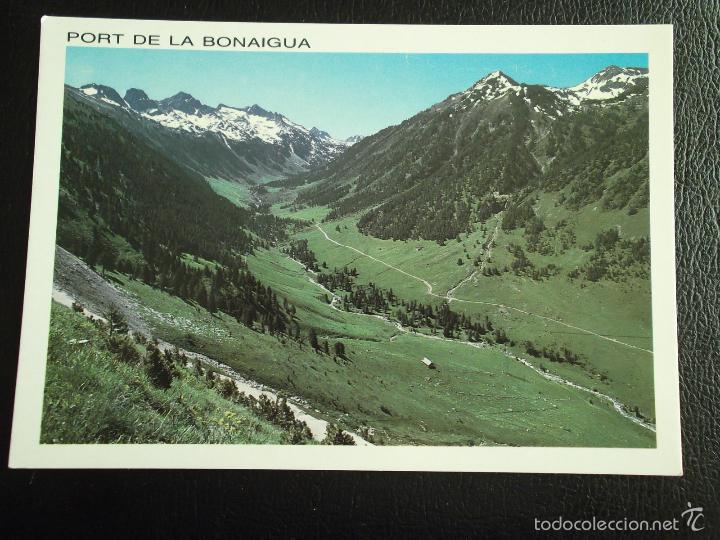 Postales: Port de la Bonaigua. 33 La Vall de Ruda, al fons Saburedos. Ed. Arribas. Nueva Bovinos. Nueva