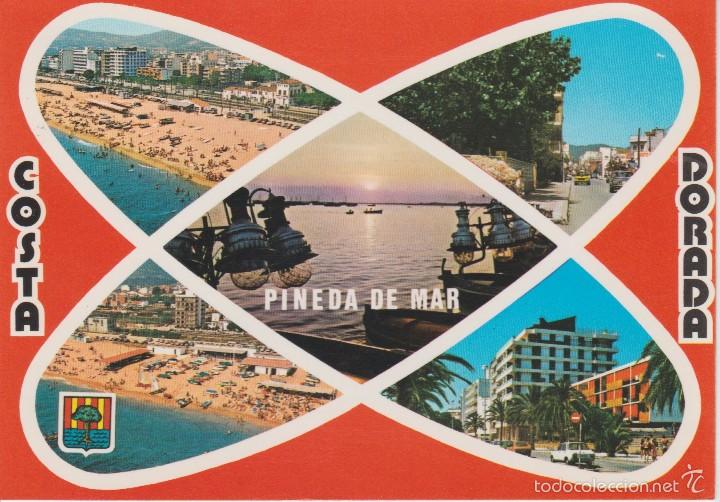 Postales: (1319) PINEDA DE MAR - Foto 1
