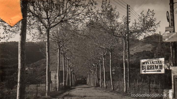 Postales: ARGENTONA - Foto 1