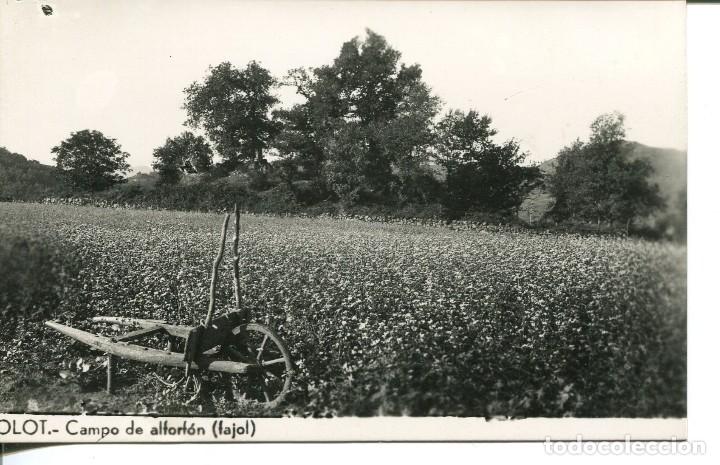 Postales: OLOT-CAMPO DE ALFORF&Oacute;N-(FAJOL) CARRET&Oacute;N DE MADERA- POSTAL FOTOGR&Aacute;FICA- MUY RARA