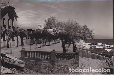 Postales: POSTAL LA ESCALA PASEO DE LUIS ALBERT - Foto 1