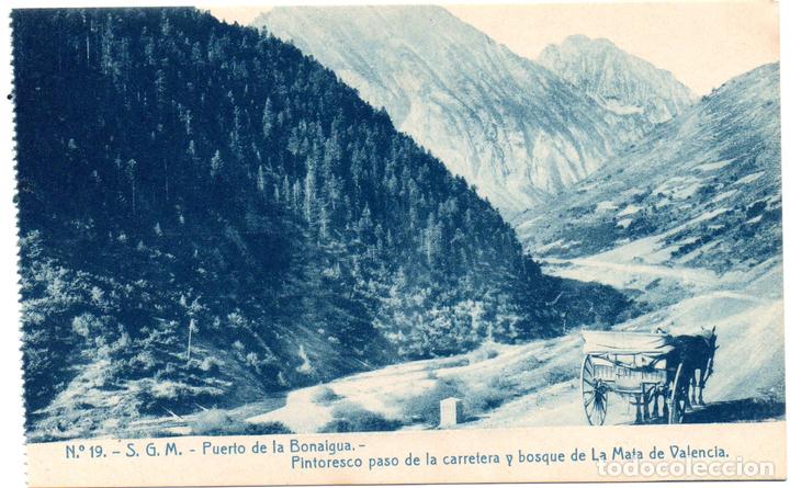 Postales: PS6878 PUERTO DE LA BONAIGUA 'PINTORESCO PASO DE LA CARRETERA Y BOSQUE DE LA MATA DE VALENCIA'.