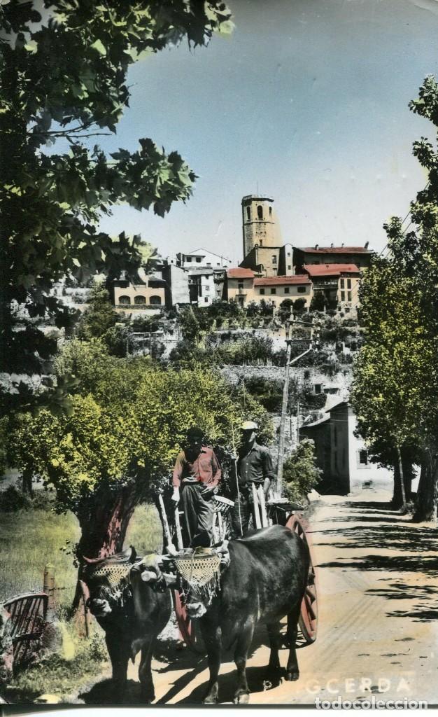 Postales: PUIGCERDA-CARRETERO DE SAN MARTIN-CON BUEYES TIPICOS- CEBOLLERO 13 - MUY RARA &Uacute;NICA
