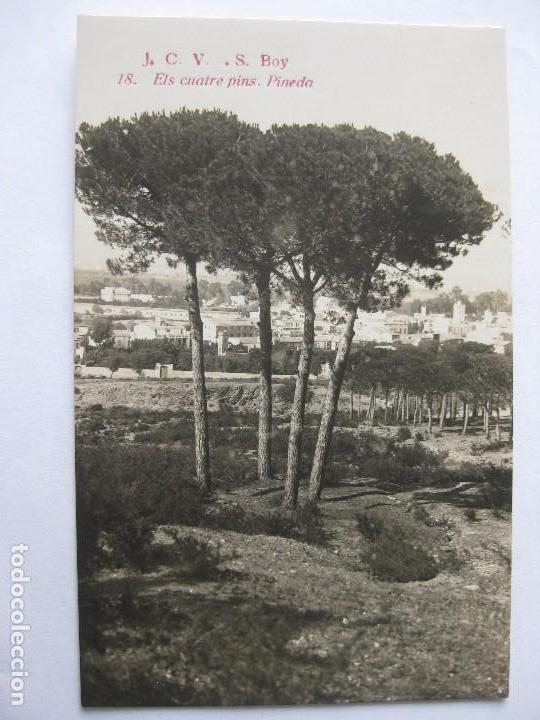 Postkarten: Tarjeta postal, San Boy J.V.C. 18 Els cuatre pins, en la pineda de la Muntanyeta. de Sant Boi