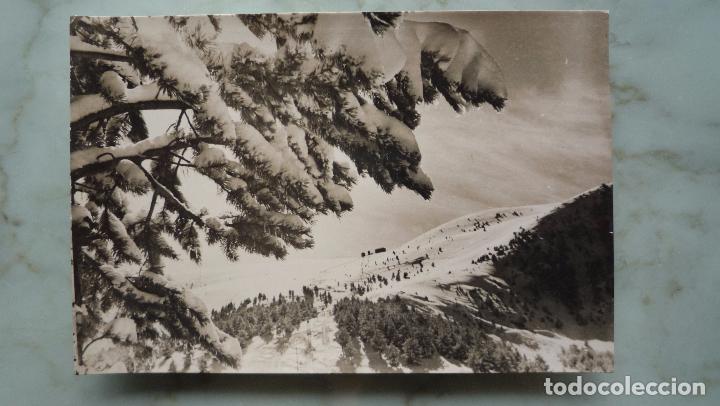 Postales: Postal PIRINEOS ORIENTALES MOLINA Cerdanya Costa Rasa Coll Sis&eacute;. Fotograf&iacute;a CAMPA&Ntilde;&Aacute;. Circulada 1956