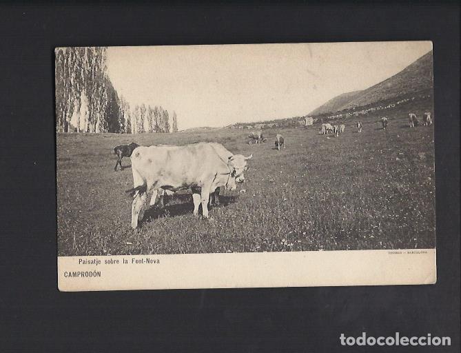 Postales: Camprod&oacute;n. - Foto 1