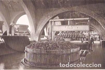 Cartes Postales: ANTIGUA POSTAL CASA CODORNIU SAN SADURNI DE NOYA N&ordm; 2 UNA DE LAS PRENSAS