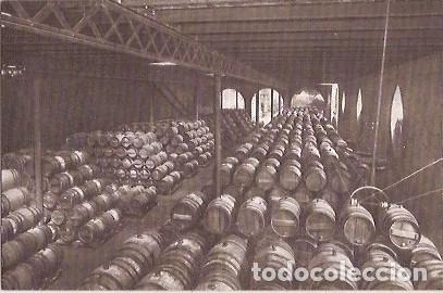 Cartes Postales: ANTIGUA POSTAL CASA CODORNIU SAN SADURNI DE NOYA N&ordm; 3 UNA BODEGA