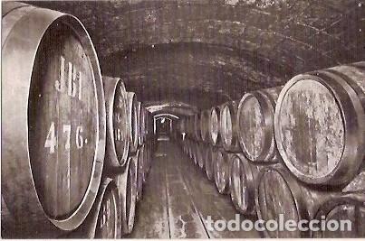 Cartes Postales: ANTIGUA POSTAL CASA CODORNIU SAN SADURNI DE NOYA N&ordm; 6 VINOS EN CRIANZA