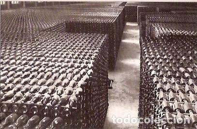 Cartes Postales: ANTIGUA POSTAL CASA CODORNIU SAN SADURNI DE NOYA N&ordm; 7 BOTELLAS ENVEJECIENDO