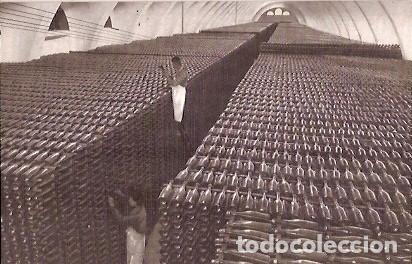 Cartes Postales: ANTIGUA POSTAL CASA CODORNIU SAN SADURNI DE NOYA N&ordm; 8 UNA BODEGA EN INVIERNO