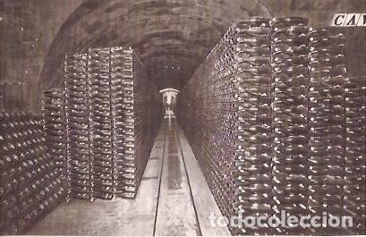 Cartes Postales: ANTIGUA POSTAL CASA CODORNIU SAN SADURNI DE NOYA N&ordm; 9 BOTELLAS DE CAVA