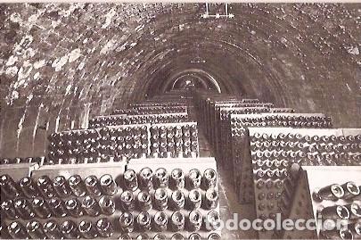 Cartes Postales: ANTIGUA POSTAL CASA CODORNIU SAN SADURNI DE NOYA N&ordm; 10 BOTELLAS EN PUPITRES