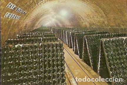 Cartoline: POSTAL A COLOR CAVAS CODORNIU BOTELLAS EN PUPITRE