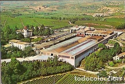 Cartoline: POSTAL A COLOR CAVAS CODORNIU EXTERIORES