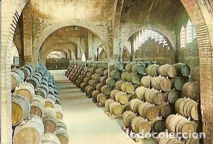 Postales: POSTAL A COLOR CAVAS CODORNIU UNA BODEGA - Foto 1