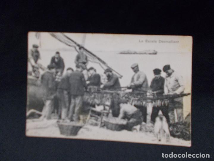 Postales: POSTAL - LA ESCALA - DESMALLANT - - Foto 1
