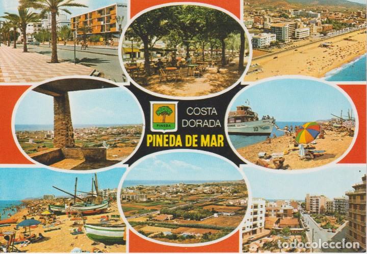 Postales: (1314) PINEDA DE MAR - Foto 1