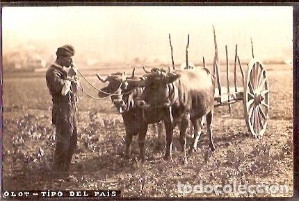 Postales: ANTIGUA POSTAL OLOT TIPO DEL PAIS - Foto 1