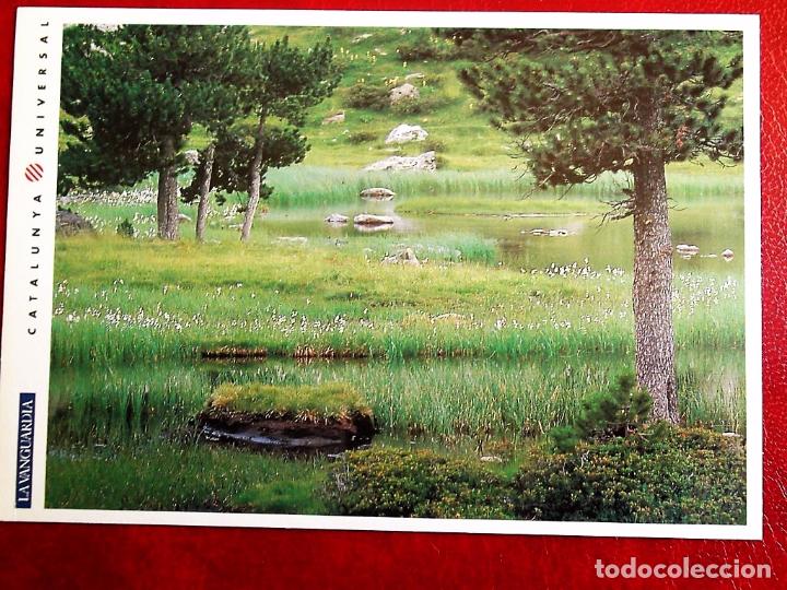 Postales: Parque de Aig&uuml;estortes y Sant Maurici. 2(11) Visto en primavera. Cayfo S.A. Catalunya Universal de l