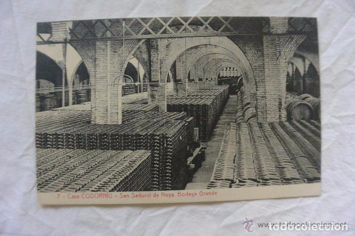 Postales: ANTIGUA TARJETA POSTAL SAN SADURN&Iacute; DE ANOIA BODEGA CASA CODORNI&Uacute;
