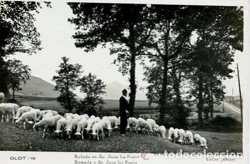 Postales: OLOT-SANT JOAN LES FONTS-PASTOR CON OVEJAS-ARQUES.----RARA