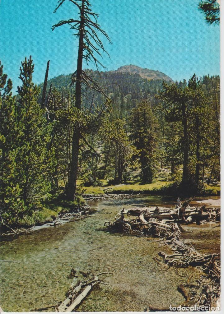 Postales: (41) PARQUE NACIONAL DE AIGUES TORTES. VALLE DE BOHI