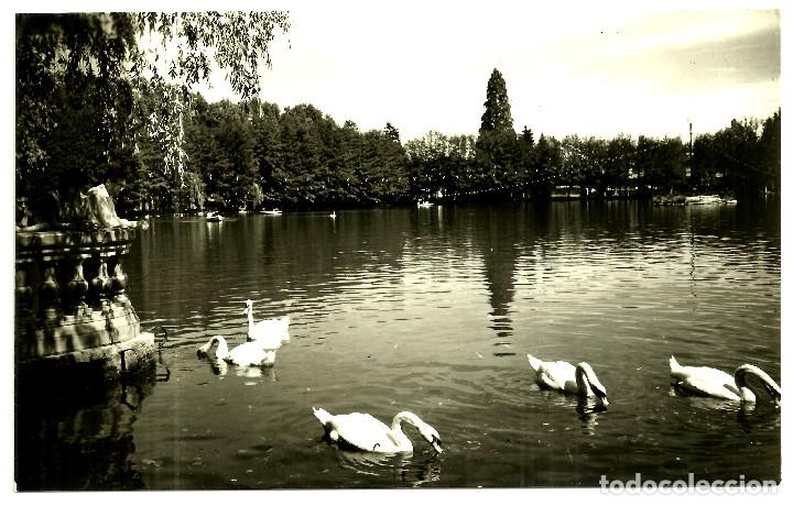 Postales: POSTAL DE PUIGCERD&Agrave; (LAGO) - Foto 1