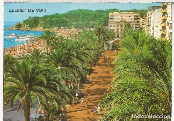 Postales: GIRONA COSTA BRAVA LLORET DE MAR ESCRITA - Foto 1