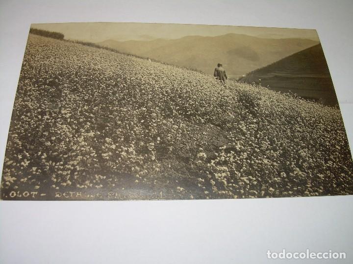 Postales: ANTIGUA POSTAL DE OLOT..GIRONA. - Foto 1