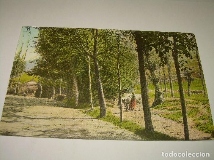 Postales: ANTIGUA POSTAL...CAMPRODON. - Foto 1