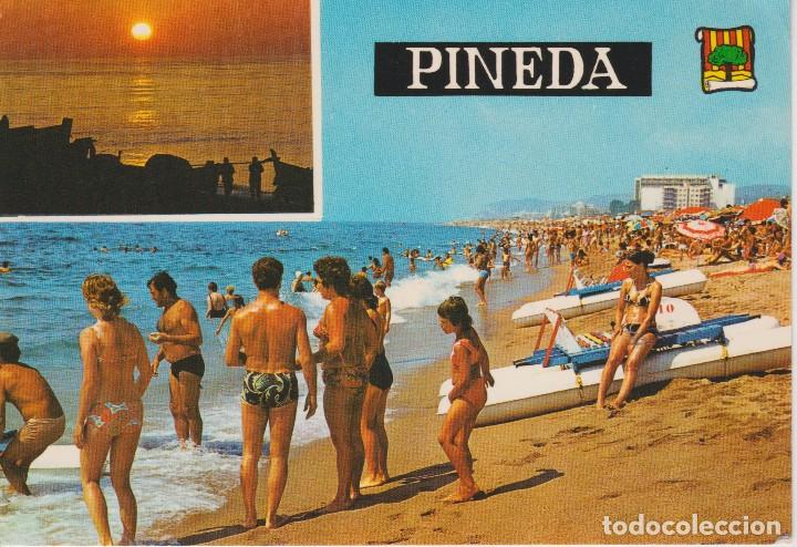 Postales: (1511) PINEDA DE MAR . LA PLAYA - Foto 1