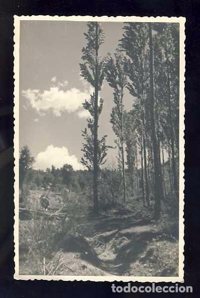 Postales: Postal de LA MOLINA: Estaci&oacute; d' esqu&iacute;. Dors amb escrit de l'Hotel Sitjar