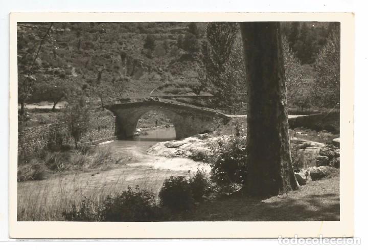 Postales: MARGALEF / RIO MARGALEF / EDICION FOTO DOMINGO / SIN FRANQUEAR
