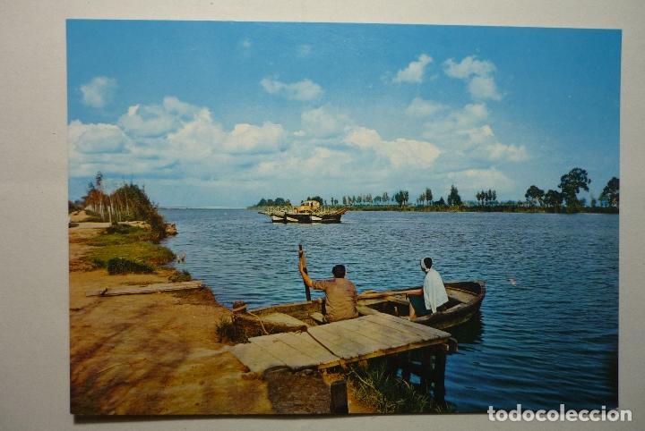 Postales: postal desembocadura del ebro -isla de buda   -prov.tarragona