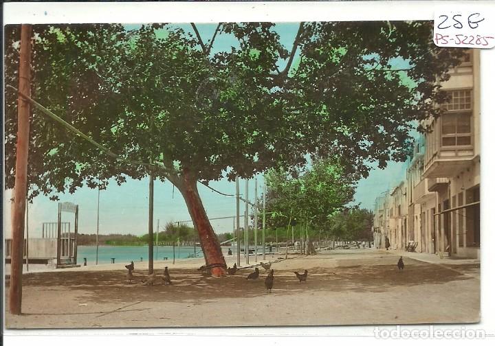 Postcards: (PS-52285)POSTAL FOTOGRAFICA DE ROSAS-CALLE ENSENADA