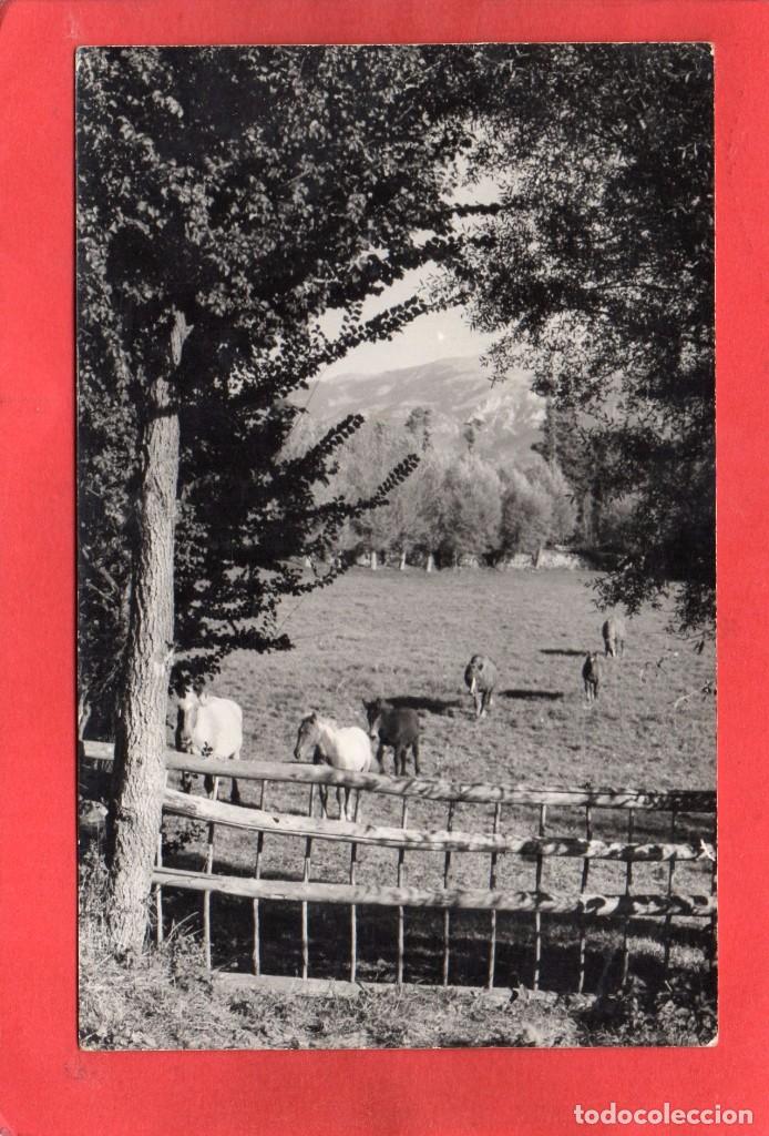 Postales: prullans - Foto 1