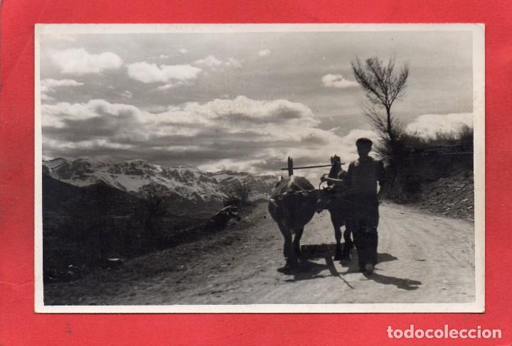 Postales: prullans - Foto 1