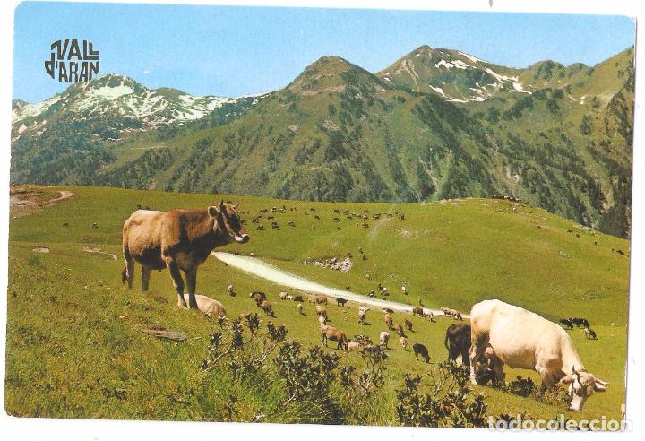 Postales: Vall d,Aran. Pla de Beret. N&ordm; 114. Zerkowitz. Exc. C.Boya.. Vell i Bell