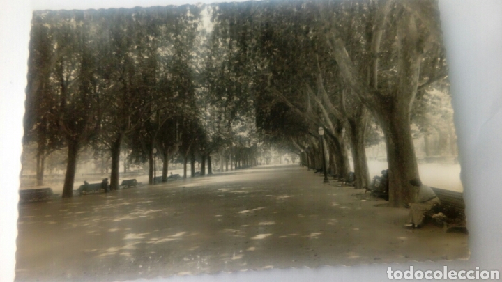 Postales: Tortosa(Tarragona)paseo central