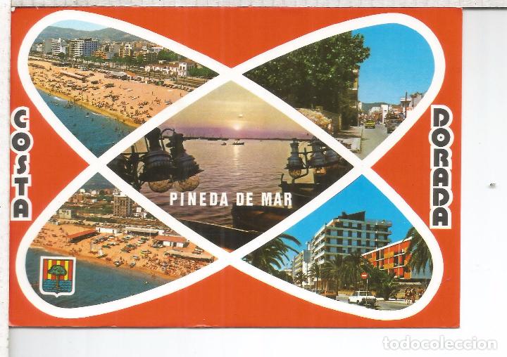 Postales: PINEDA DE MAR TARRAGONA ESCRITA - Foto 1