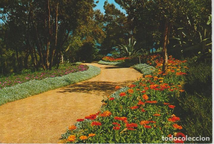 Postales: (116) BLANES. JARDIN BOTANICO ... SIN CIRCULAR - Foto 1