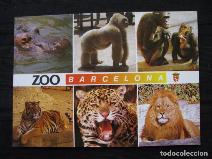 Postales: POSTAL - ZOO BARCELONA. - Foto 1