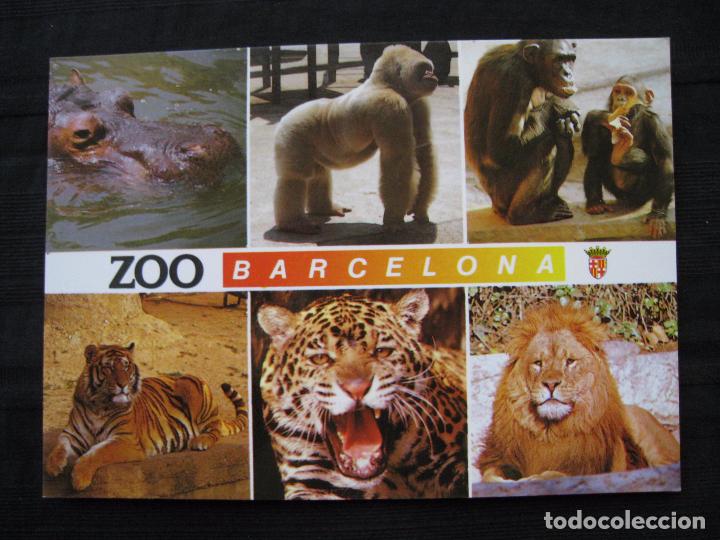 Postales: POSTAL - ZOO BARCELONA. - Foto 2