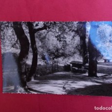 Postales: FOTO-POSTAL. ARBOLERA. SAN ANDRES DE LLAVANERAS.