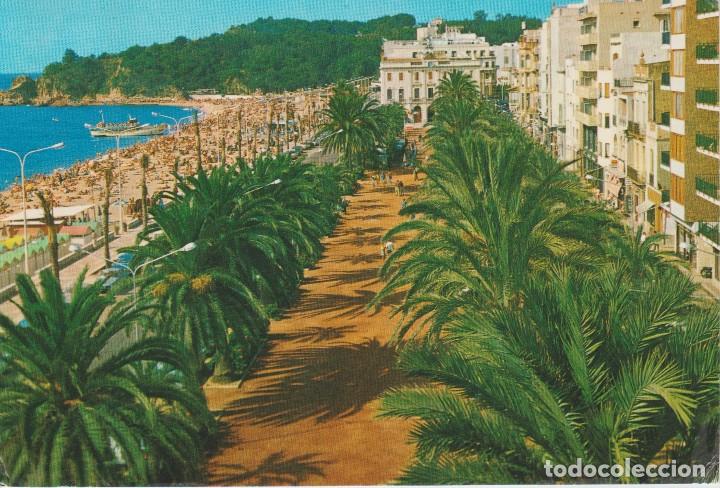 Postales: (184) LLORET DE MAR . PASEO Y PLAYA - Foto 1