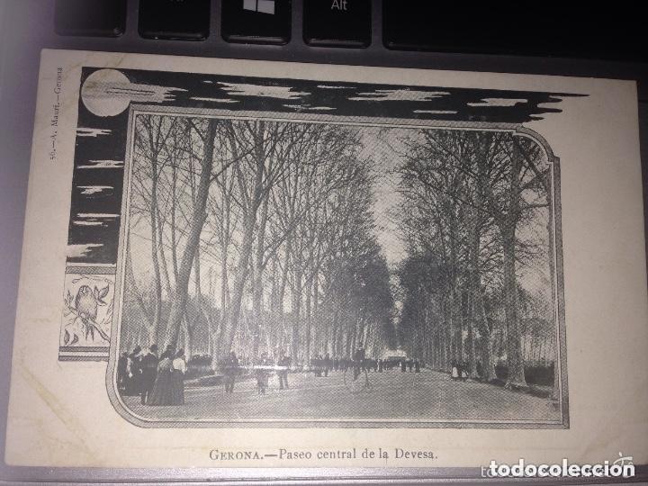 Postales: GERONA PASEO CENTRAL DE LA DEVESA - Foto 1