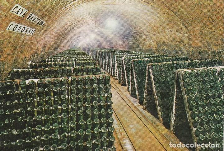 Postales: N&ordm; 32570 POSTAL CAVAS CODORNIU