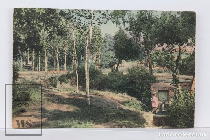 Postkarten: Antigua Postal en Color - La Ametlla. Font de la Mina - L. Roisin - Sin Circular