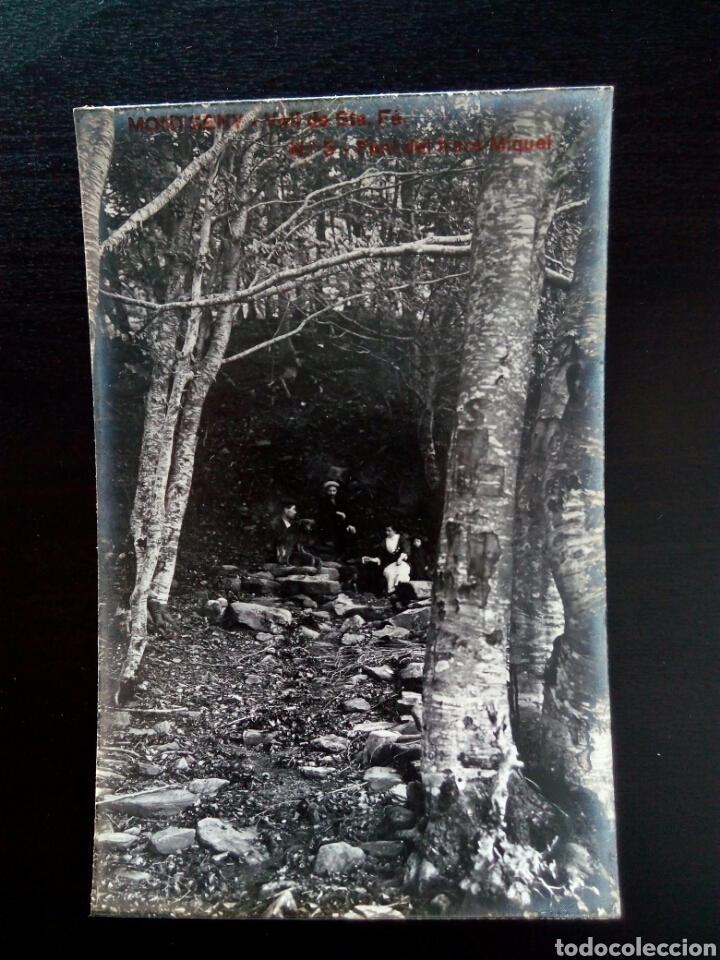 Postcards: Postal de Montseny